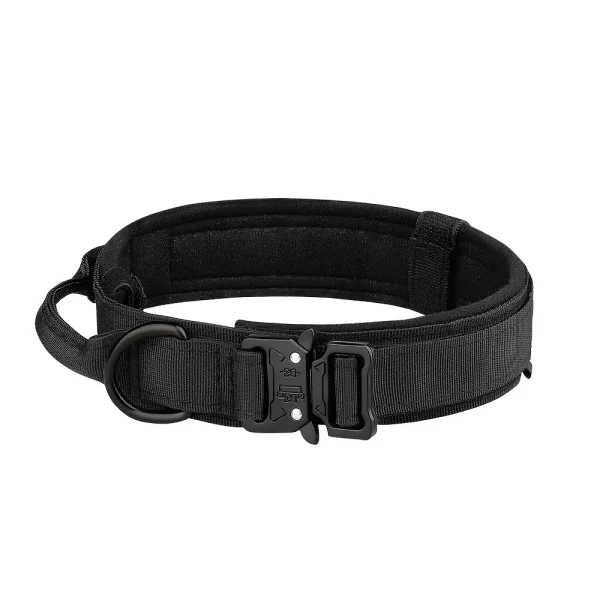 Dog Collar Adjustable